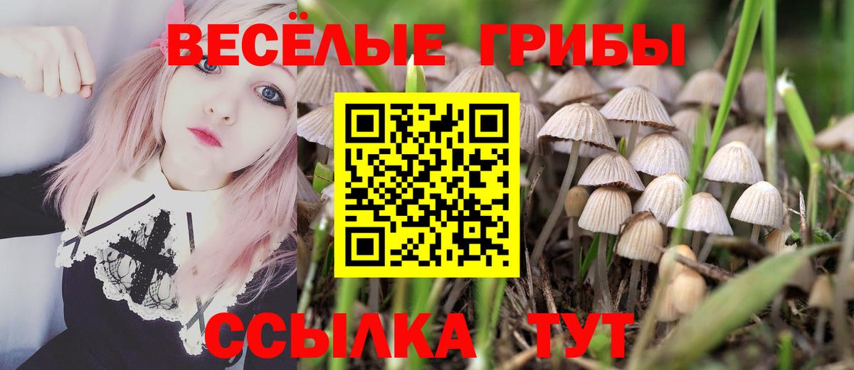 Галлюциногенные грибы ЛСД Сухой Лог